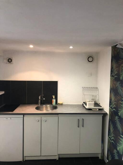 Logement Appartement Bourget ル・ブールジェ エクステリア 写真